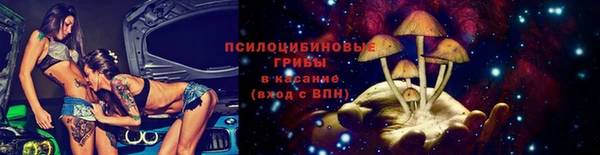 круглые Абаза