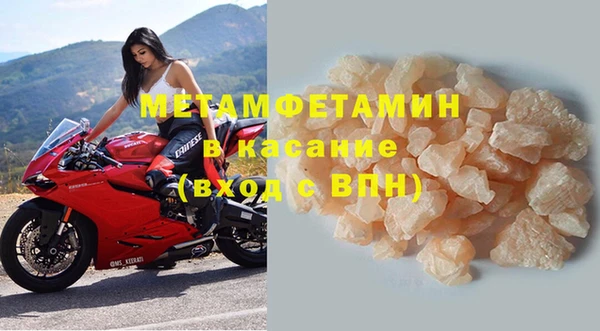 прущие грибы Абдулино