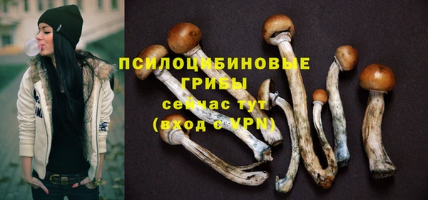 скорость Алзамай
