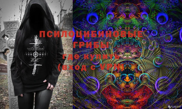 круглые Абаза