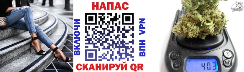 Канабис семена сколько стоит Тимашёвск